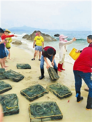 当日放生的油锥,属海鳝科。受访者供图